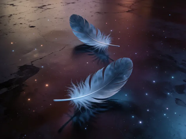 Deux plumes bleutées portées par un même courant d'air étoilé, la liberté et l'esprit